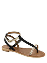 Hilatres-LES TROPEZIENNES