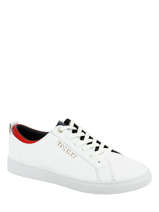 Tommy city-TOMMY HILFIGER