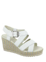 Wedges-GABOR