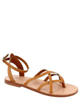 Ily-LES SPARTIATES PHOCEENNES