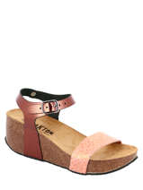 So kiss fenix-PLAKTON