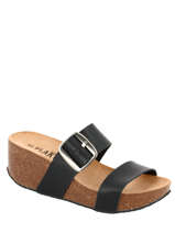 So rock napa-PLAKTON