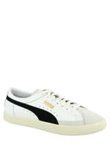Basket 90680-PUMA