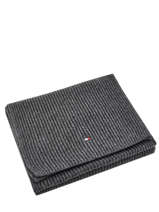 Echarpe Tommy hilfiger Noir accessoires AM05163